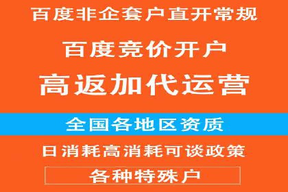 百度竞价包年推广的典型案例与效果展示